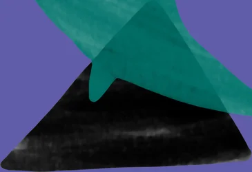 Unknown Image